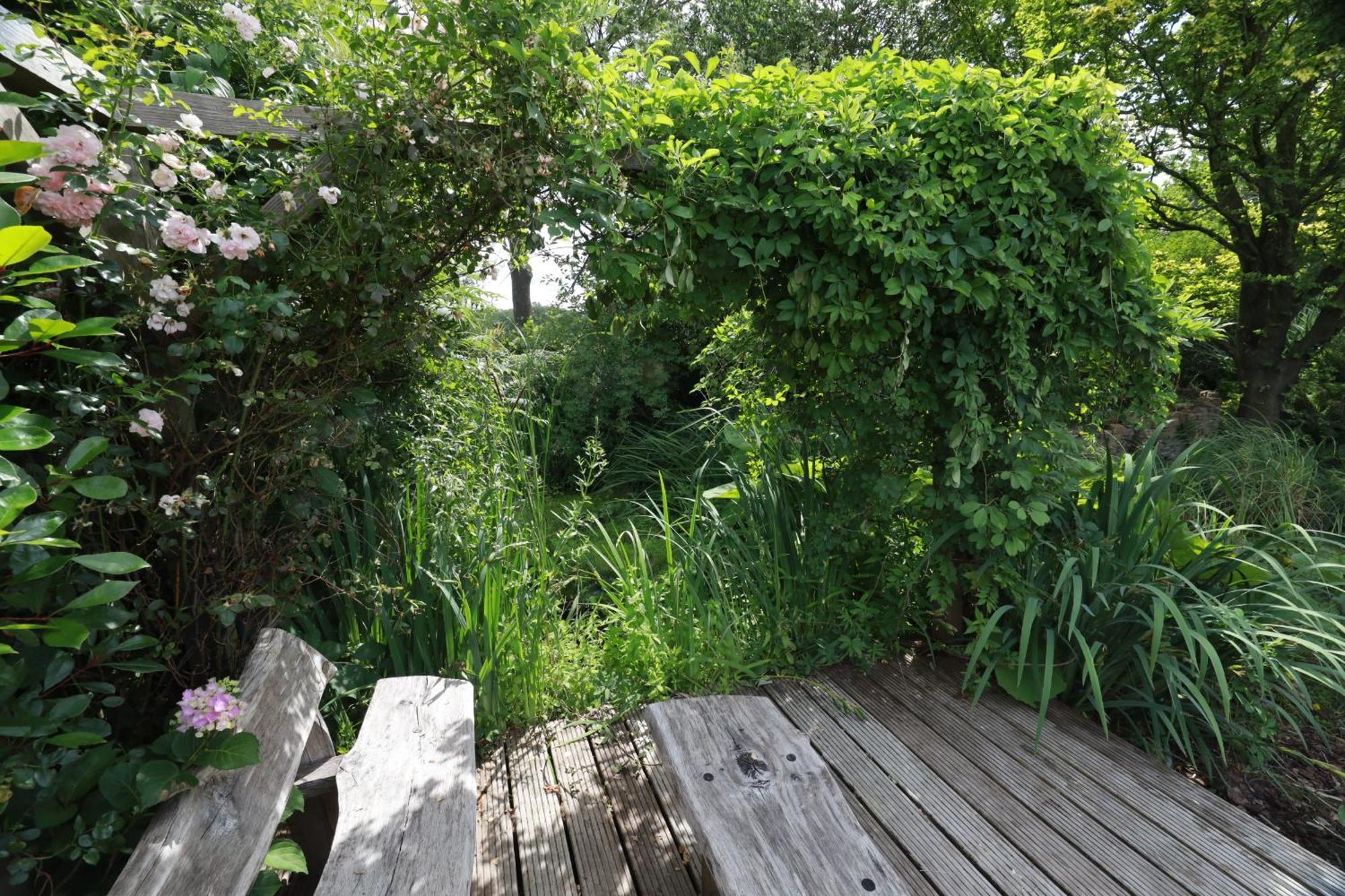 Wellnessappartement 'T Wechtertje Wijhe Екстер'єр фото